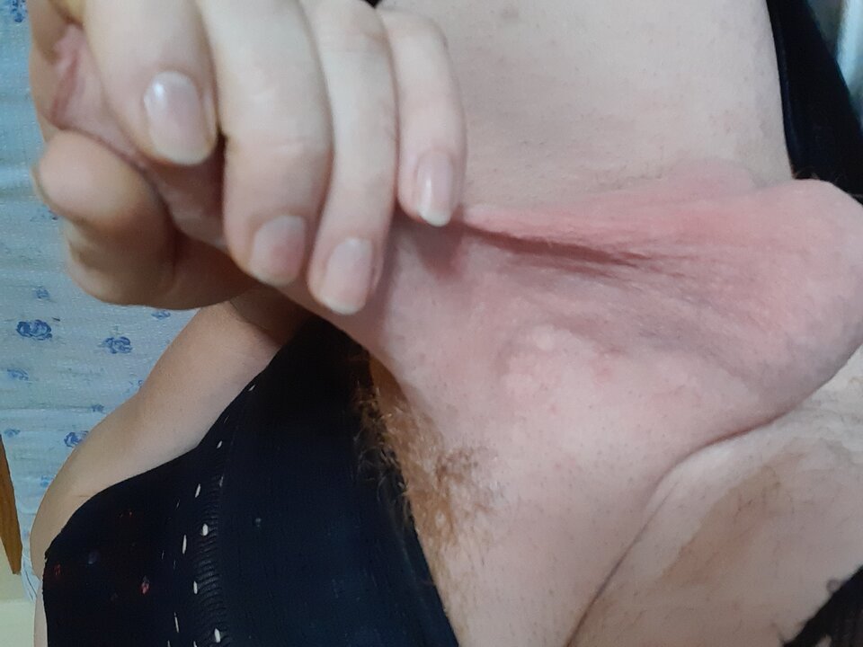 15957695422931069234994180253368.jpg - Palciusia