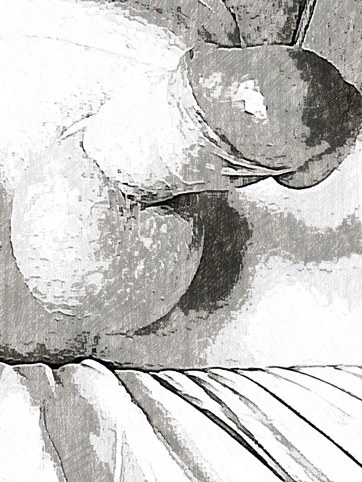 JPG_1595831470107.jpg - dino8