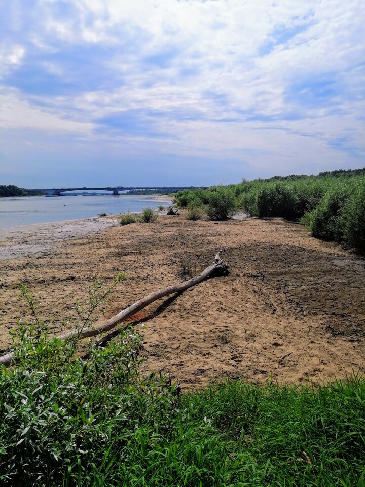 IMG_20200727_113033~2.jpg - AndWawa1990