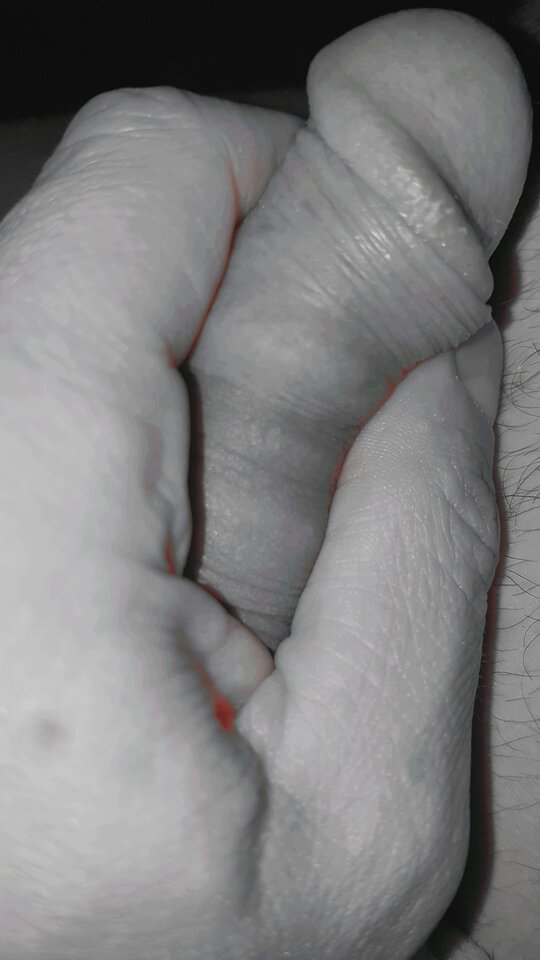 20200728_004017.jpg - robsxxxx