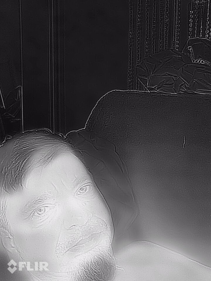 flir_20200728T063307.jpg - Dobromir01