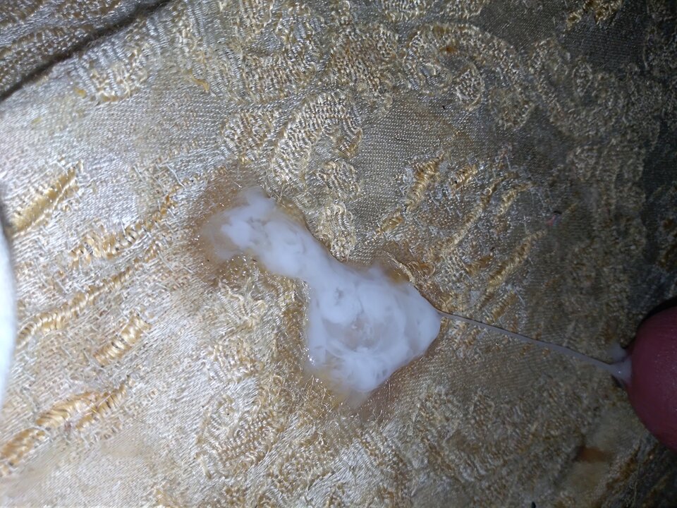 IMG_20200727_084942.jpg - cinek994