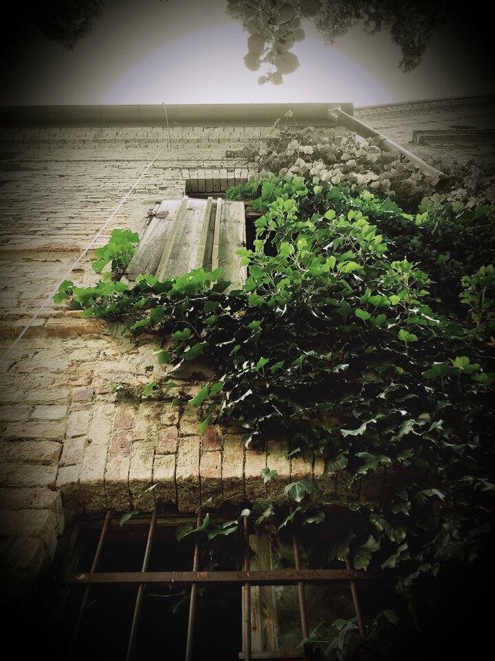 Magia... - para_kochankow