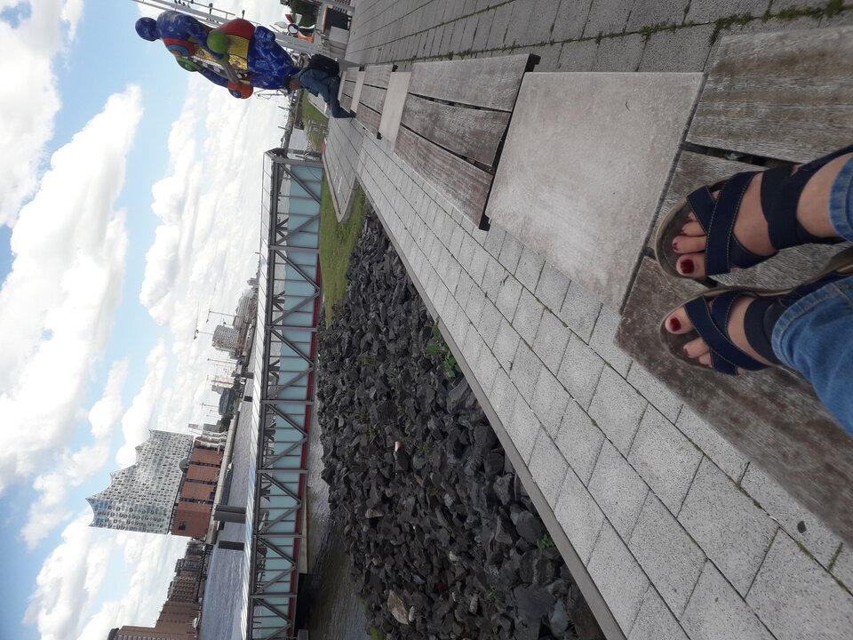 20200728_141257.jpg - matyldchen