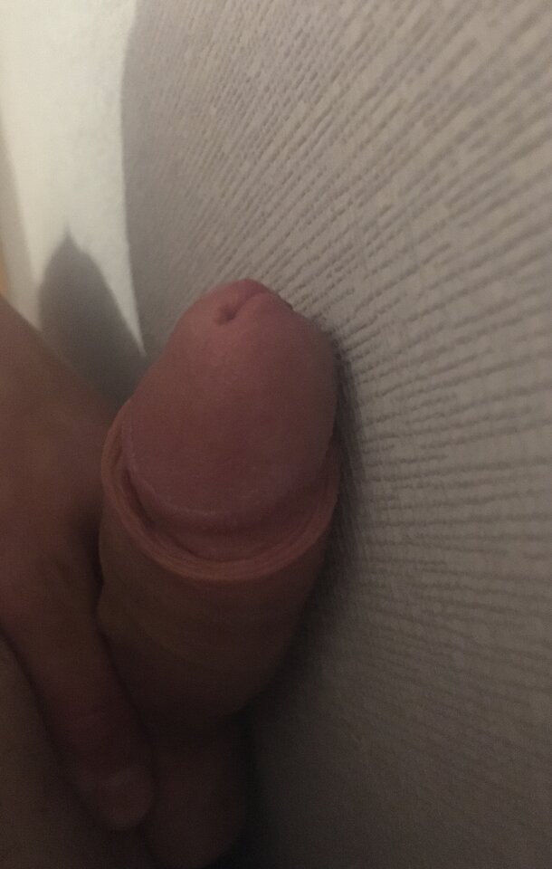 AF4207F1-D995-44D9-804E-D5A0AD8C0B4A.jpeg - lepkierece