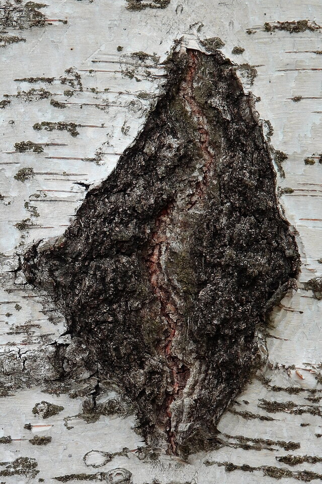 Naturalne skojarzenia? - 6mk9n