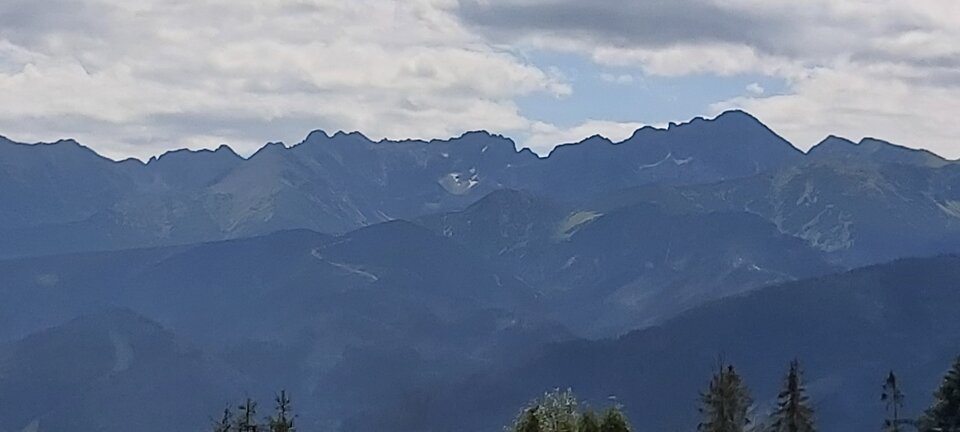 159601600145852740749610630160.jpg - paraolsztyn11