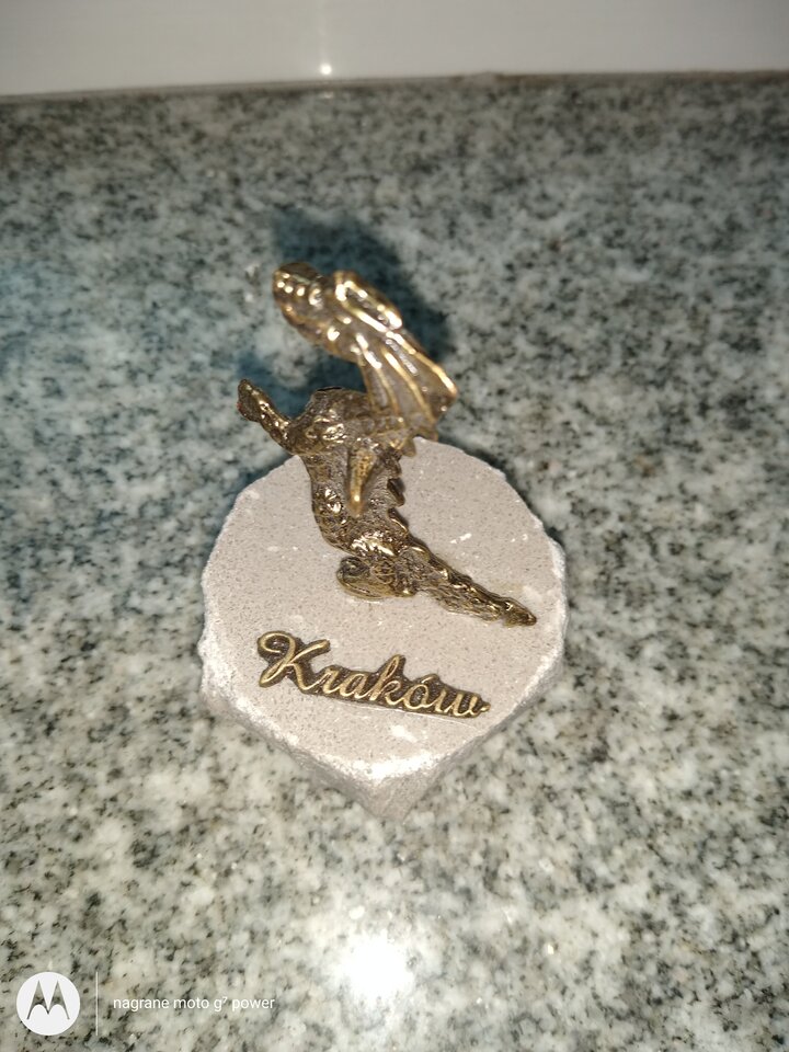 IMG_20200729_193257367.jpg - rafi07