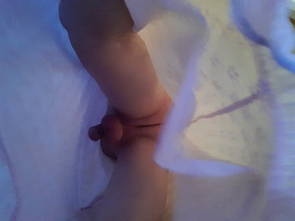 15960812006578761742293136858996.jpg - Palciusia