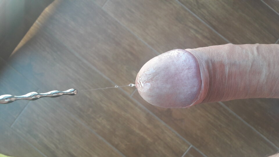 20200730_084203.jpg - Szenszyl82