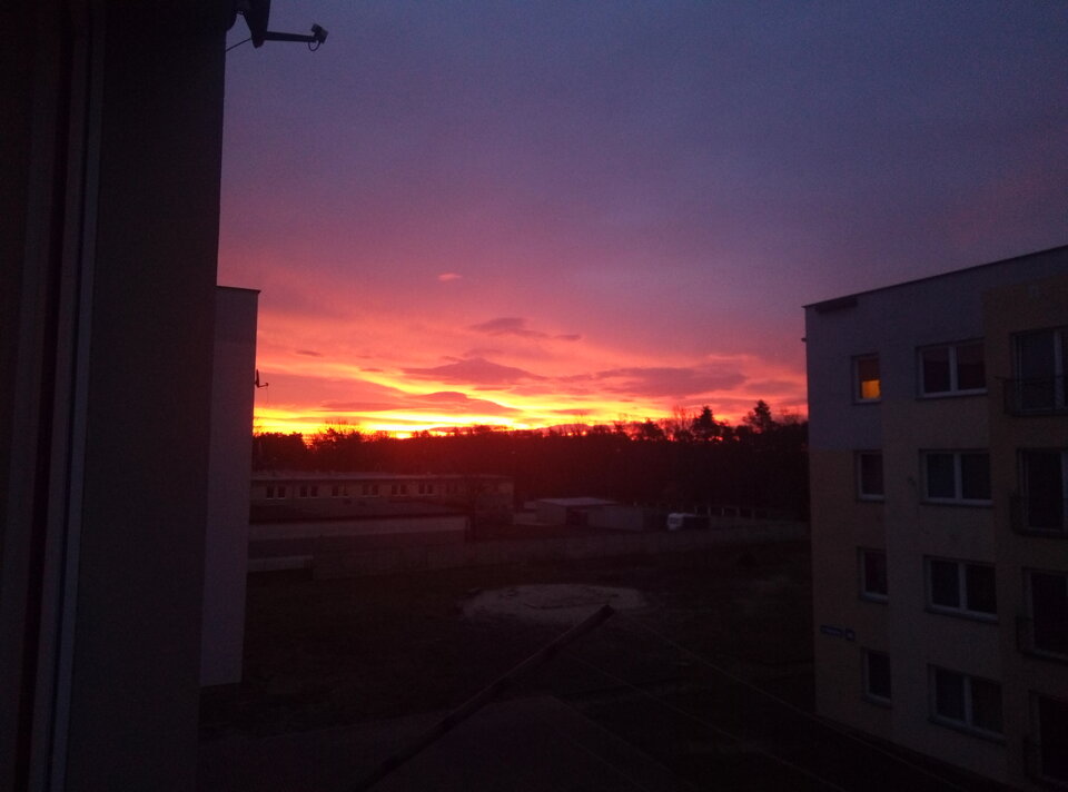 IMG_20191118_064730_5.jpg - Katarzyna1999