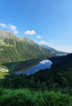 20200726_081440.jpg