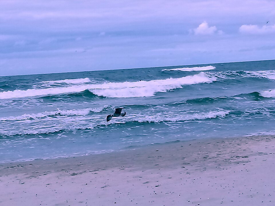 20200730_163505.jpg - 19Kasia75