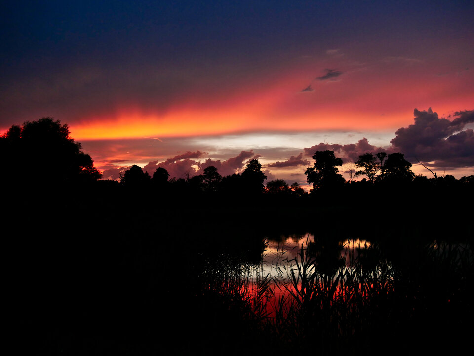 _1110149.jpg - FoKam431