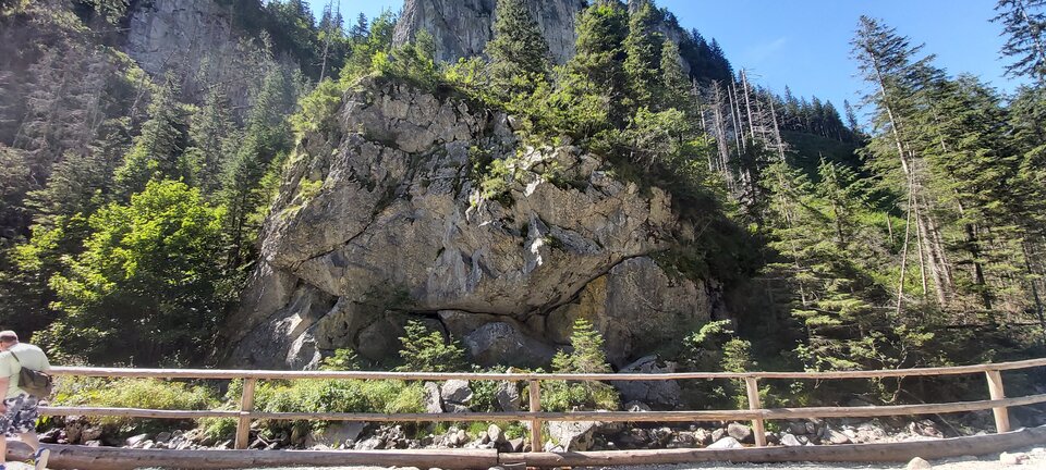 20200730_145255.jpg - paraolsztyn11