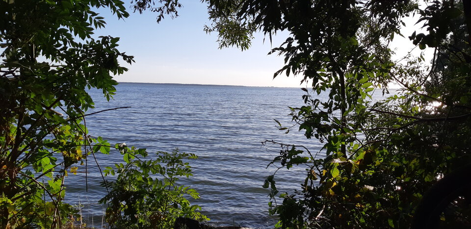 20200731_182143.jpg - mlody1277