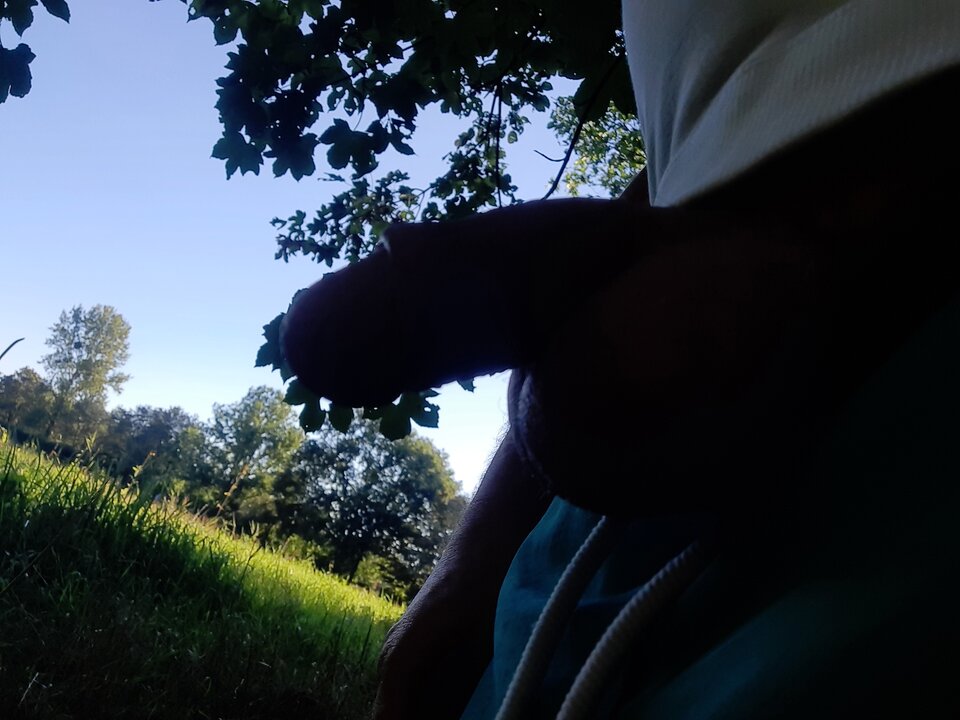 15962141485866971994775529111928.jpg - rafal1410