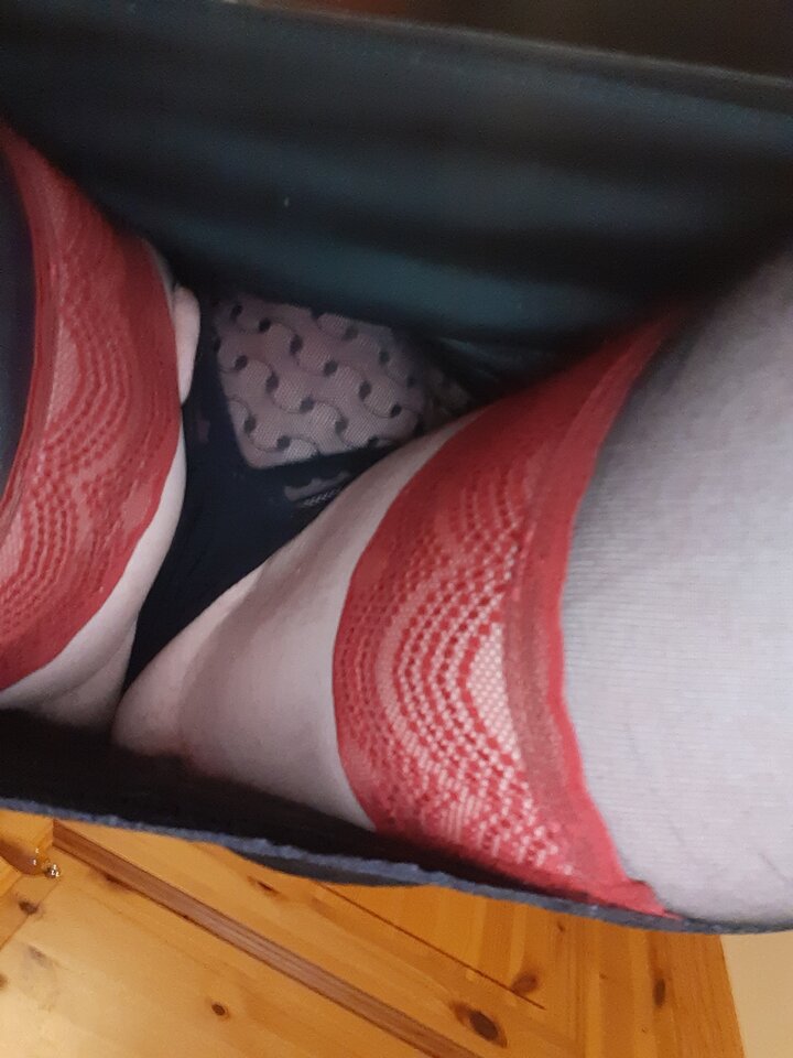 15962267133272491664984288194012.jpg - Palciusia