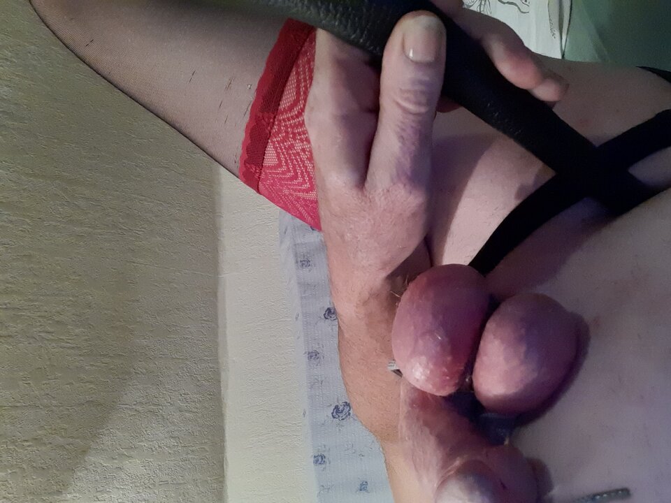 15962283581656481008729926905926.jpg - Palciusia