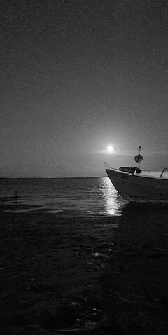 20200606_232230-01.jpeg