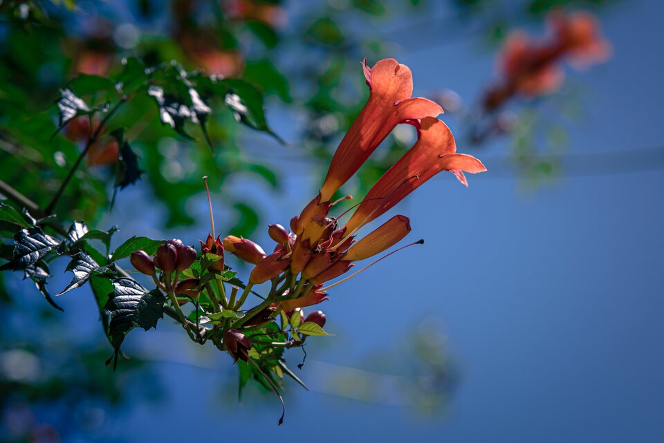 Oprócz błękitnego nieba... - mystic