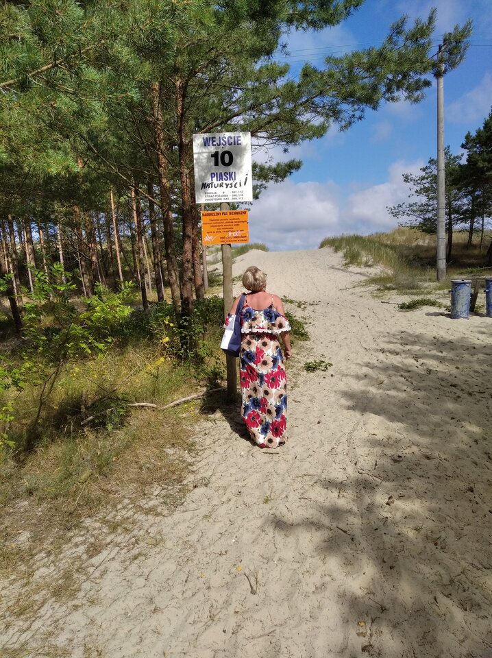 IMG_20200801_101459.jpg - rj68