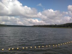 IMG_20200801_102152.jpg