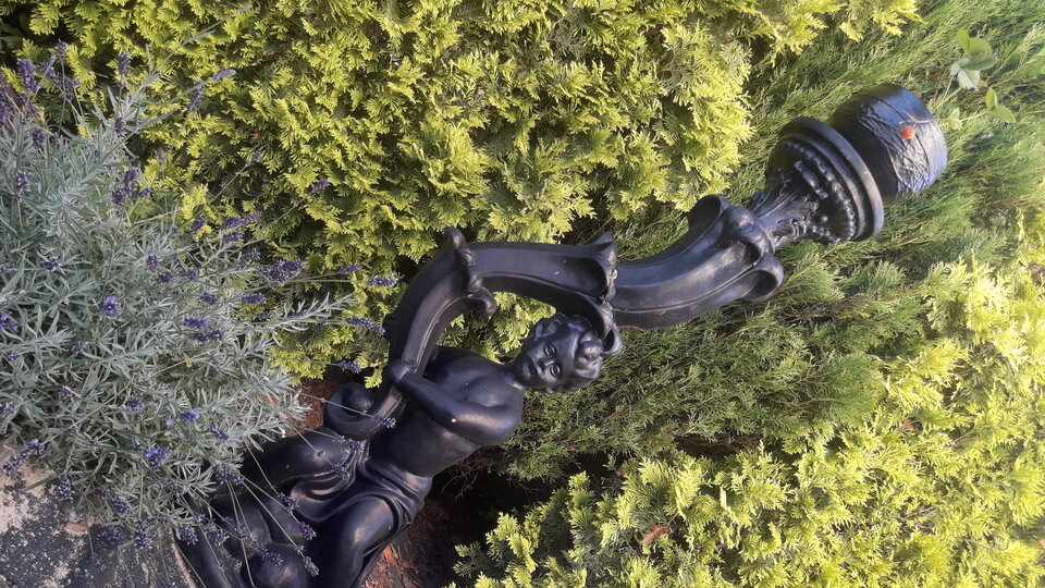 Gdy w sadzie bogini rośnie  - Marcominetka