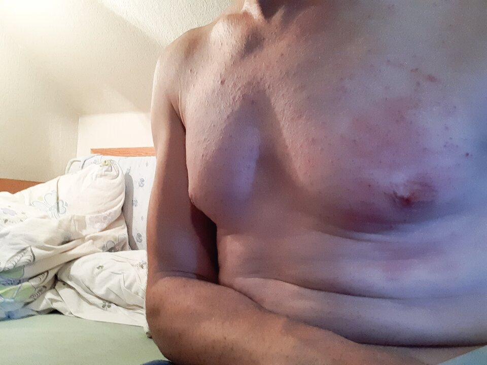 15963075259796413183048520194668.jpg - Palciusia