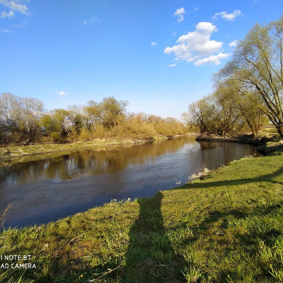 IMG_20200419_192749_345.jpg - ptak362