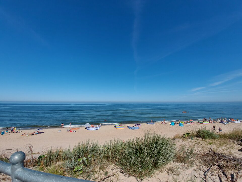 20200801_101407.jpg - A7REPPU