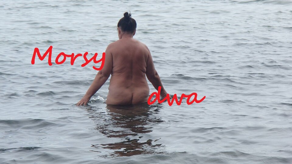 Zbiornik 1290 - Morsy_dwa