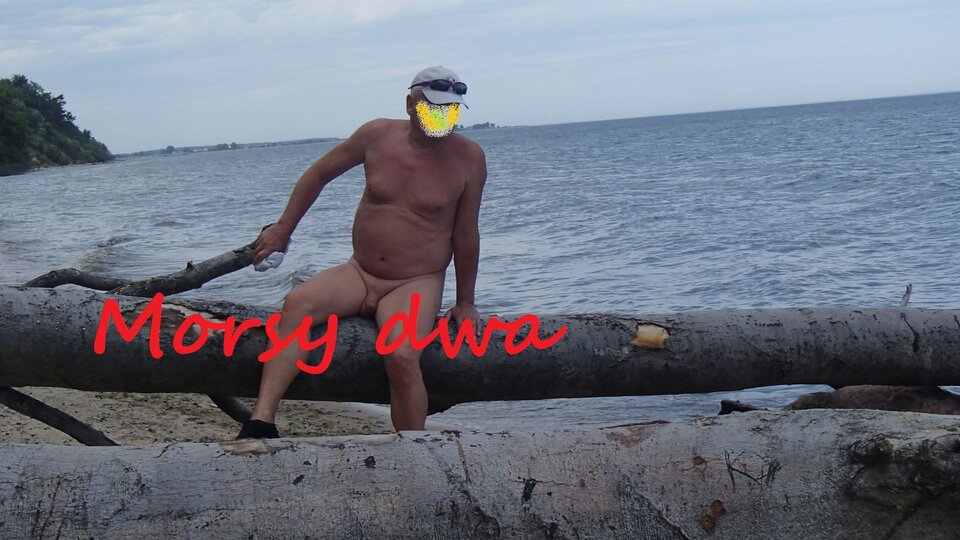 Zbiornik 1288 - Morsy_dwa