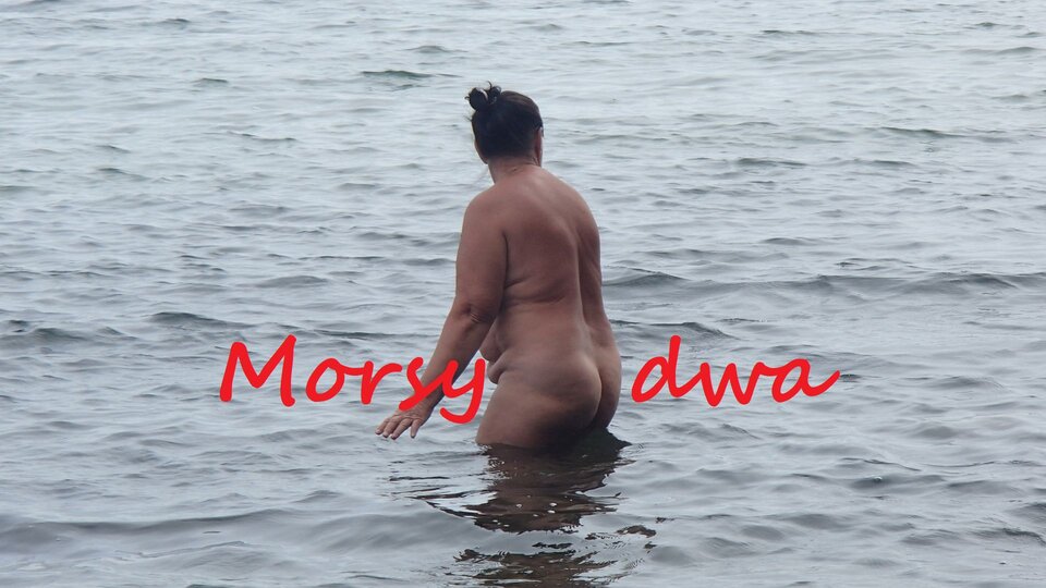 Zbiornik 1289 - Morsy_dwa