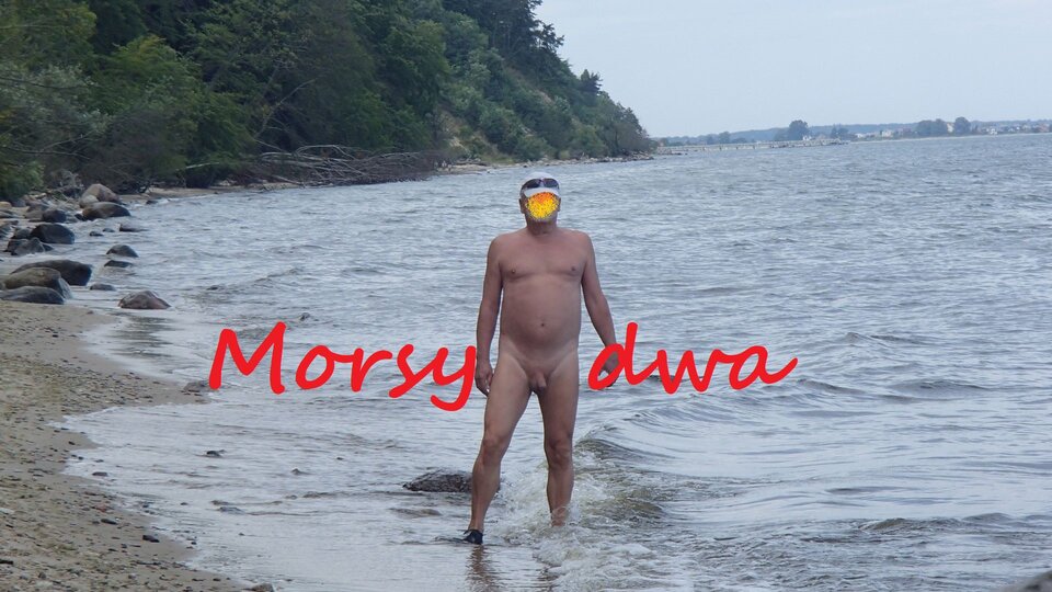 Spacerek. - Morsy_dwa