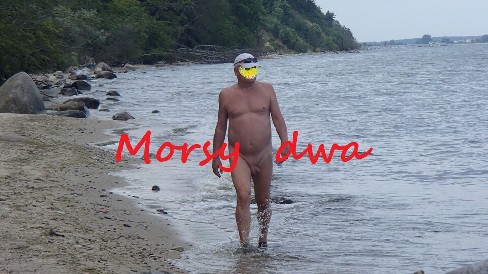 Zbiornik 1287 - Morsy_dwa