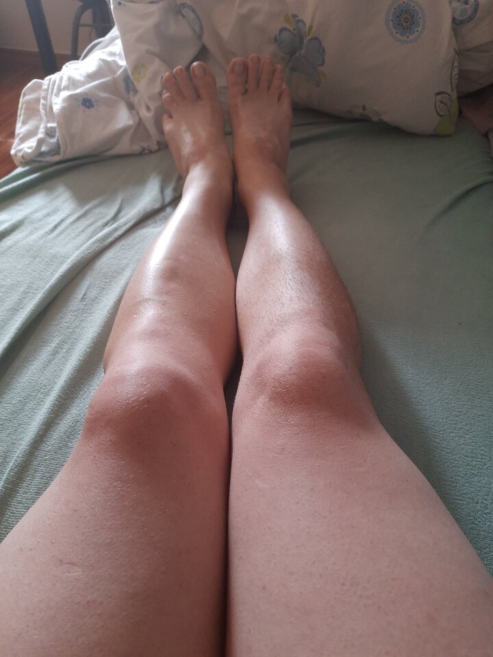 15963767869291389357714524391330.jpg - Palciusia