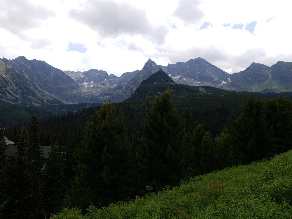 20200724_132900.jpg - ZakazanaStrefa