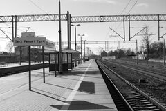 Reise Reise