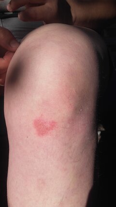 20200802_073738.jpg