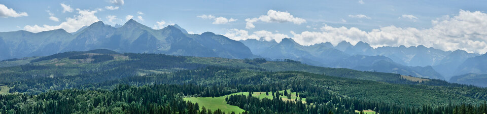 _1110223.jpg - FoKam431