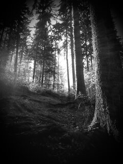 20200804_082419.jpg
