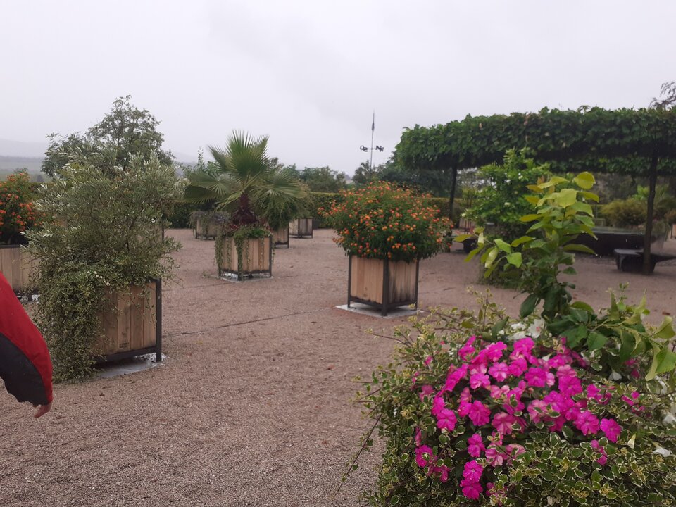 20200804_113714.jpg - Przemodkl79