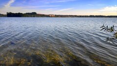 IMG_20200802_085815.jpg