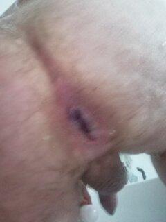 IMG_20200804_171556.jpg
