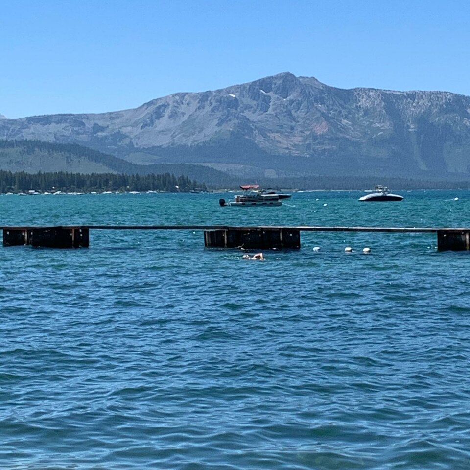 IMG-20200729-WA0009.jpg - przyjazny55