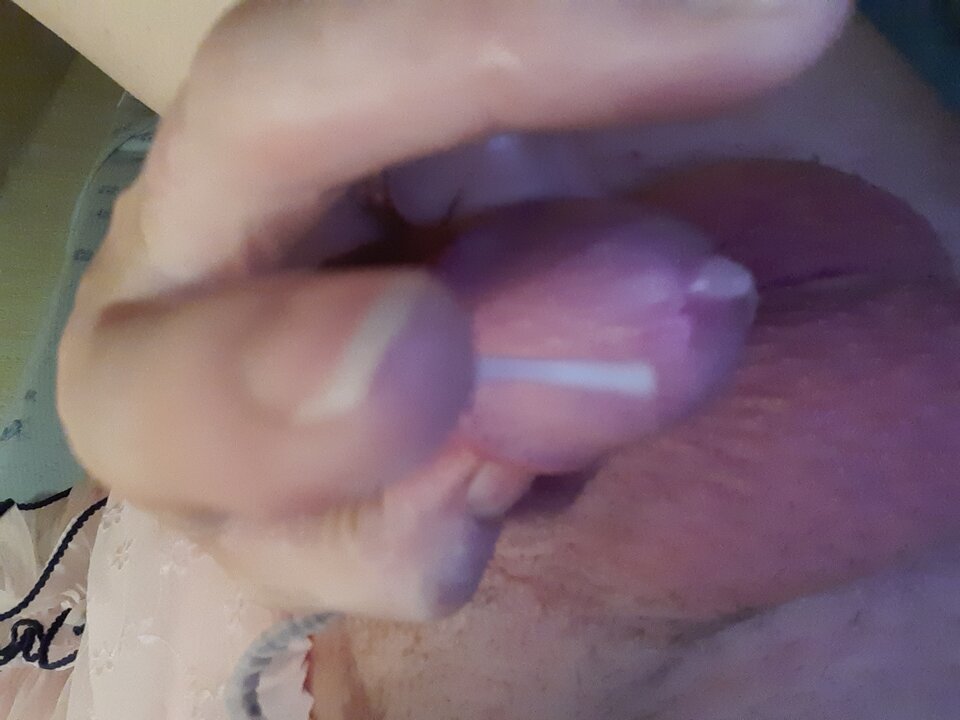 15965828418163867062595665719646.jpg - Palciusia