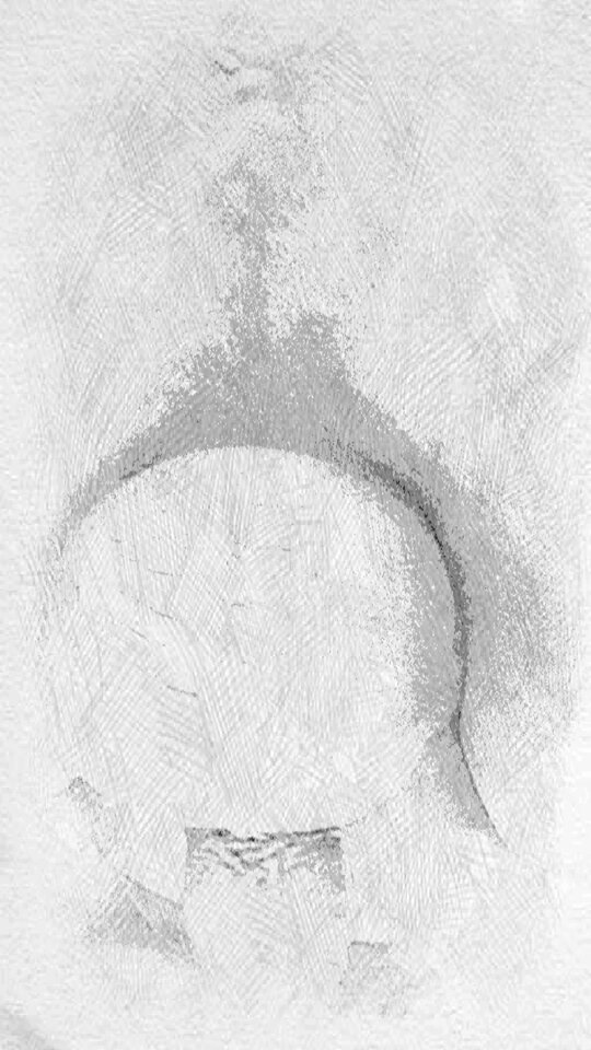 JPG_1596608511409.jpg - dino8