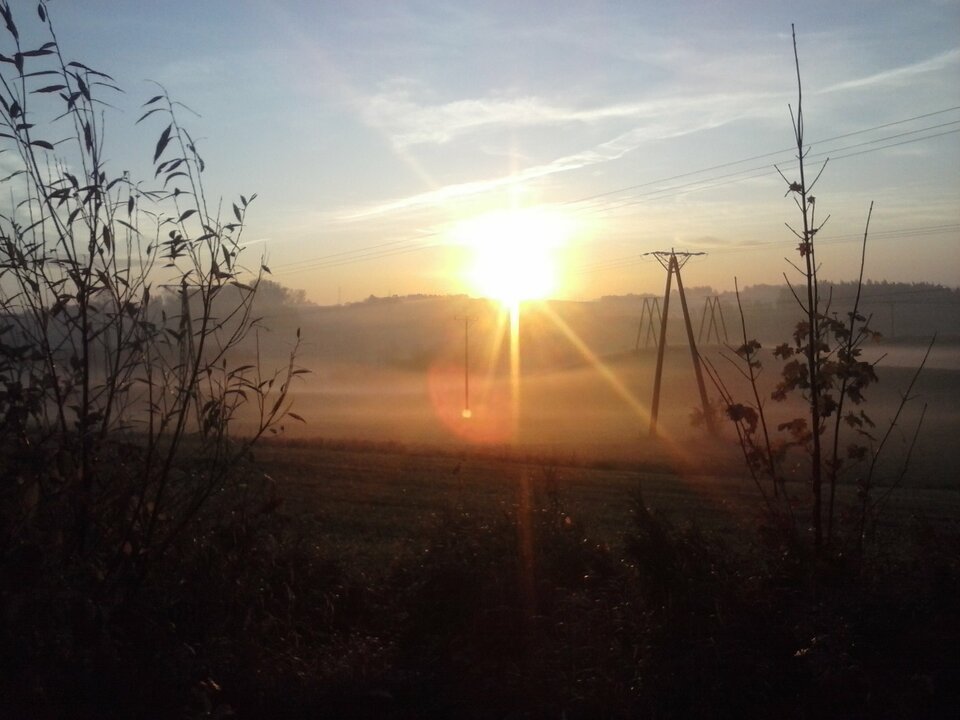 CAM01485.jpg - czarus35