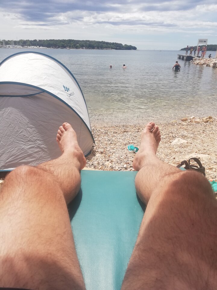 IMG_20200805_135619.jpg - tygryseks